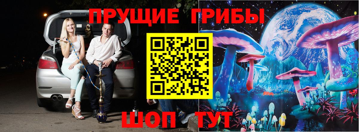Галлюциногенные грибы Psilocybine cubensis  Вход с VPN  Псилоцибиновые грибы Cubensis  Ярцево 