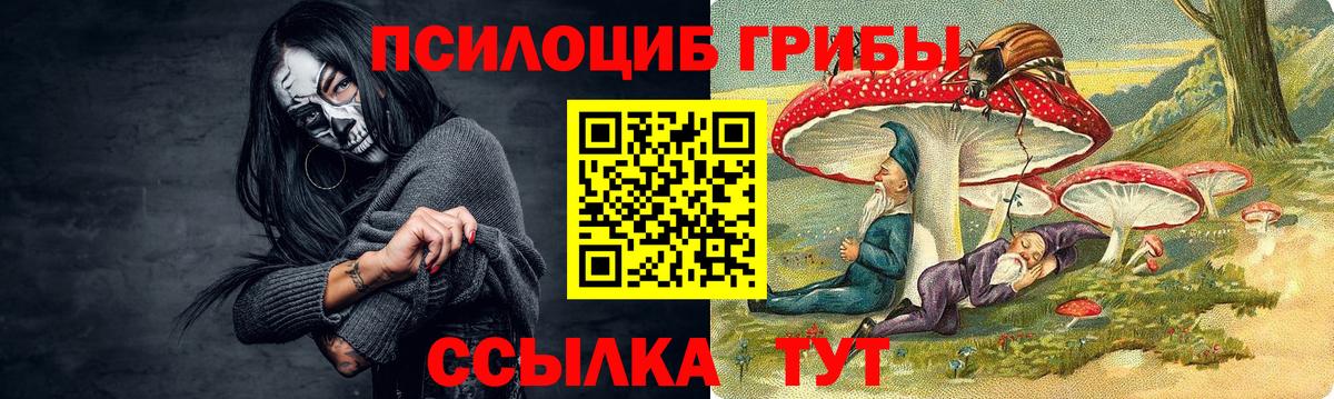 Галлюциногенные грибы GOLDEN TEACHER Ярцево